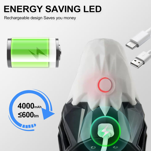vasdaren Bald Eagle Wall Light,with Remote Control,Magnetic Wall Mounted Lamp with Timer Function,Ideal for Bedroom