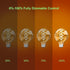 BOSITE G80 Vintage Edison Light Bulbs Dimmable 4W (40W Equivalent) Led Filament Bulbs White Warm 2700K CRI80+ E26 25000hours Decorative Globe Amber Glass Light Bulbs for Home Yard Restaurant(4PCS) by BOSITE