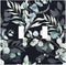 Decorative Switch Plate Covers Boho Black Grey Eucalyptus Leaf Floral, 2 Gang Double Toggle Light Switch Cover for Home