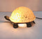 HUIMEIJU Brown glass turtle night light, Animal night light study balcony garden