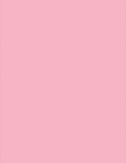 Sparco 05124 Premium Copy Paper - 20Lb, 8-1/2" x 11", 500/RM, Pink Color