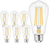 hansang E26 Edison Light Bulbs, Dimmable, 2700K Warm White, Vintage Edison Bulbs, 60 Watt Equivalent, 6W Filament Light