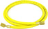 Refrigeration Hose 60" | 800 PSI Working Pressure | 1/4" Female Flare Brass Fittings with PTFE Gasket