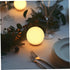 80mm 30mm ULTECHNOVO Frosted Glass Globe Lamp Shade round Ball with Fitter Opening, Sphere Replacement for Ceiling Fan