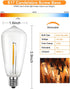 SUNSGNE 25Pack LED Edison Light Bulbs, 0.6 Watt Shatterproof Dimmable Replacement Bulbs ST40 E17 Clear Plastic LED Light Bulbs for Outdoor Patio String Lights, E17/C9 Intermediate Base, Warm White by SUNSGNE