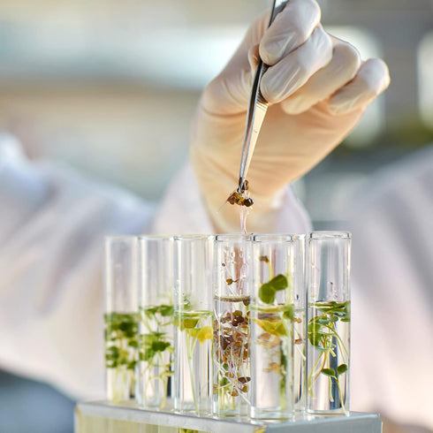 SUPERLELE 18pcs Glass Test Tube, 25×120mm Clear Flat Test Tubes with Cork Stoppers for Plants, Experiments