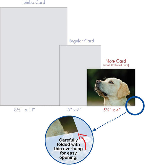 The Best Card Company - 10 Adorable Blank Dog Cards (4 x 5.12 Inch) - Boxed Set of Lovable Labs AM6325OCB-B1x10