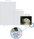 The Best Card Company - 10 Adorable Blank Dog Cards (4 x 5.12 Inch) - Boxed Set of Lovable Labs AM6325OCB-B1x10