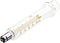 1 Pack Glass Syringes with Caps, 10cc/ml for Laboratory Use