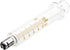 1 Pack Glass Syringes with Caps, 10cc/ml for Laboratory Use