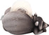 Raccoon Tape Dispenser, Fun Animal Office Supplies, Unique Desktop Accessory, Funny Gifts, 5 Inches by Wowser