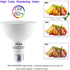 PAR30 LED Flood Light Bulbs, Long Neck, 5000K Daylight, Dimmable, 75W Halogen Equivalent, 12W E26, 1300LM, 4-Pack