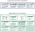 56 Set Nursing Scrubnotes by Medical Basics - Nursing Badge Reference Card - Nursing School Essential Cheat Sheets