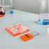 Set Osaladi Optical Experiment Kit for Physics Education Science Experiment with Concave Lens Convex Lens Triangular