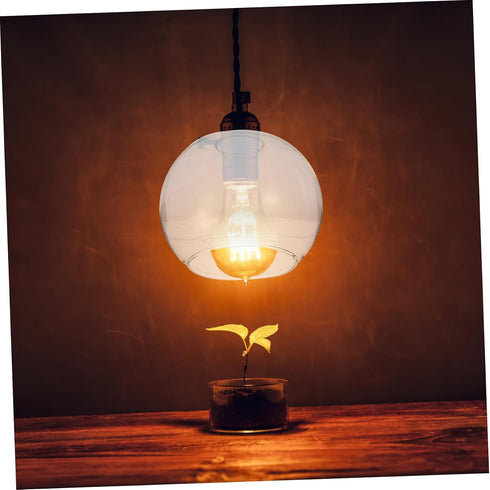 150mm 1-5/8-inch E27 BESTOYARD Glass Globe Lamp Shade Replacement with Clear Round Light Sphere Ball Lamp Shade