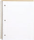Mintra 100% Recycled Notebooks, Letter Size (8.5in x 11in), Plain Cover, 3-Pack