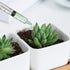 12 Pack - 3ml Plastic Syringes - Separate Sterile Packaging Small Syringe Without Needle for Plant Hydroponic