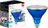 Xtricity LED PAR38 Blue Flood Light Bulbs, 7W, Waterproof, Indoor/Outdoor, E26 Medium Base, Blue (1 Pack)