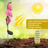 Yosoo Garden Solar Lights, Waterproof Moth Orchid Shape Light-Activated LED Pathway Light