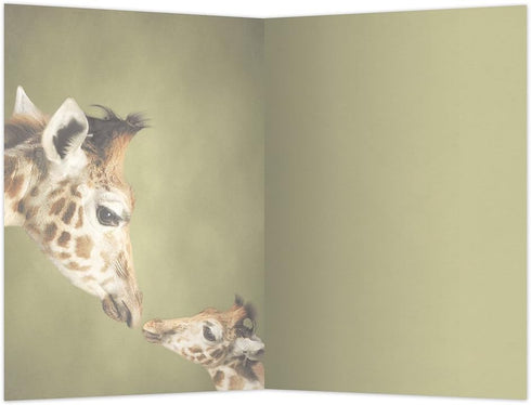 Tree-Free Greetings EcoNotes 12 Count Parent and Child Giraffe All Occasion Notecard Set with Envelopes, 4 x 6 Inches (FS66812) by Tree-Free Greetings