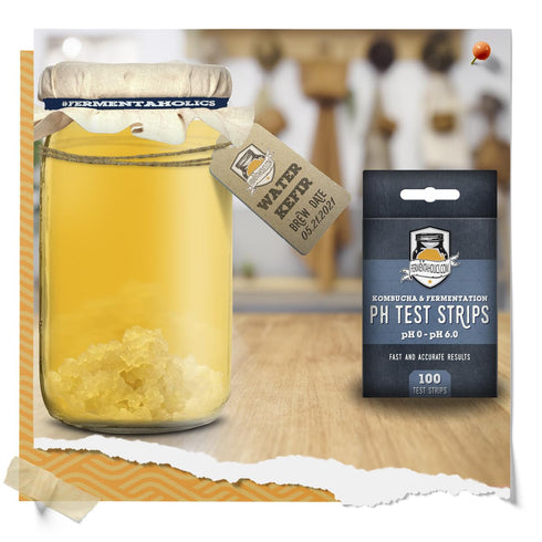 Kombucha pH Test Strips - 100 Test Sticks | pH Range 0-6 | Instant Read for Brewing, Food Service, and Fermentation