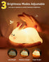 30-Min Big Face Rabbit Silicone Night Light, Squishy Bunny Lamp with Touch Control, Timer, Rechargeable Kids Night