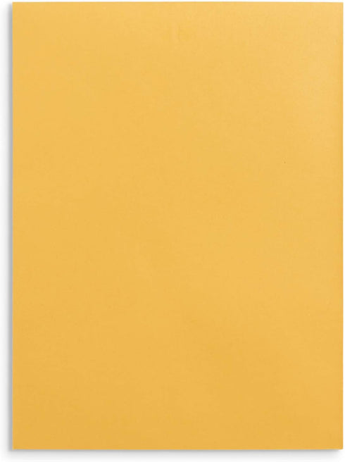 Blue Summit Supplies 100 9” x 12” Clasp Envelopes, Gummed Seal Mailing Envelopes for Larger Papers