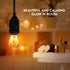 Bulb, 60-Watt Bulb 4 Count Himalayan Glow LED Light Patent Design Equivalent, Warm Amber Glow, Salt Light