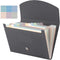 Cholemy Expanding File Folder, 13 Pockets, A4 Letter Size, Plastic Expandable Filing Folders for Office, Home, Classroom