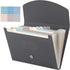 Cholemy Expanding File Folder, 13 Pockets, A4 Letter Size, Plastic Expandable Filing Folders for Office, Home, Classroom