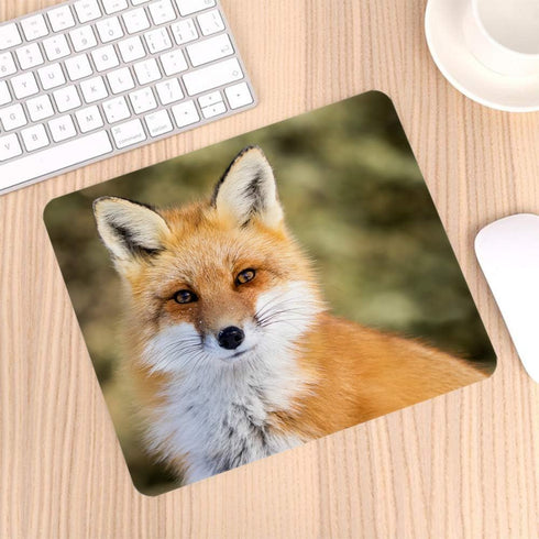 Beautiful Ginger Fox Gaming Mouse Pad, Wild Animal Cub Mum Non-Slip Rubber Mouse Pad for Computers, 9.5 Inch x 7.9 Inch