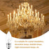 YKCGG 8 Pack 40W Bulbs Bulb E26 Incandescent Equivalent Energy Torpedo Tip Chandelier with Crystal Clear Incandescent