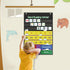 Boczif Word Building Center Pocket Chart for Preschool Learning, Word Recognition with Word Families Cards