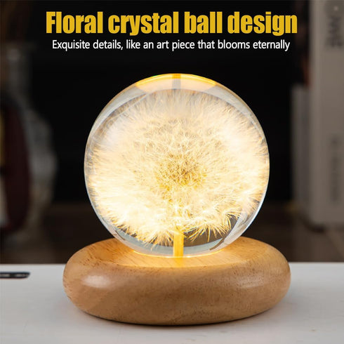DONGKER Daisy Decor Night Light,Dandelions Crystal Ball Light with Wooden Base & Resin Cover for Valentine's Day