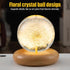 DONGKER Daisy Decor Night Light,Dandelions Crystal Ball Light with Wooden Base & Resin Cover for Valentine's Day