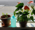 2pcs 150ml 5Oz Wash Bottle Blue Narrow Mouth Squeeze Bottle for Medical Lab Use, No Spill Design