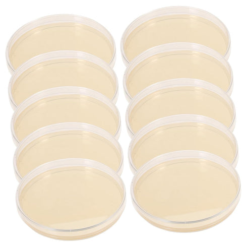 Agar Plates 10pcs Nutrient Agar Plates, Borosilicate Glass Petri Dishes for Plastic Plants Laboratory Round Colombia