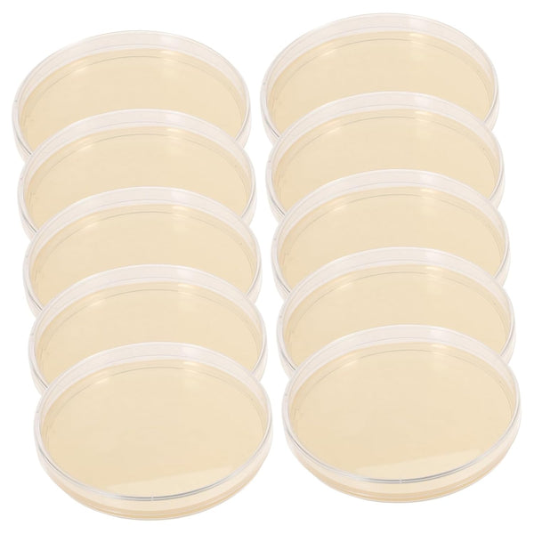 Agar Plates 10pcs Nutrient Agar Plates, Borosilicate Glass Petri Dishes for Plastic Plants Laboratory Round Colombia