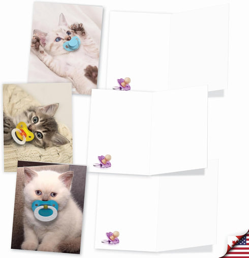 The Best Card Company 20 Cat Greeting Cards (4 x 5.12 Inch) - Assorted Designs (10 Designs, 2 Each) - Cat Pacifiers