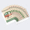 Tree-Free Greetings Happy Camper All Occasion Cards, 12 Greeting Cards + Envelopes, 4 x 6, 100% Recycled Paper, Made in