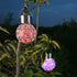 ansu Multi-Color LED Solar Lantern - Waterproof Outdoor Light