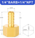 TAILONZ PNEUMATIC 1/4 Inch Barb x 1/4 Inch NPT Brass Female Hose Fitting Connector (Pack of 10)