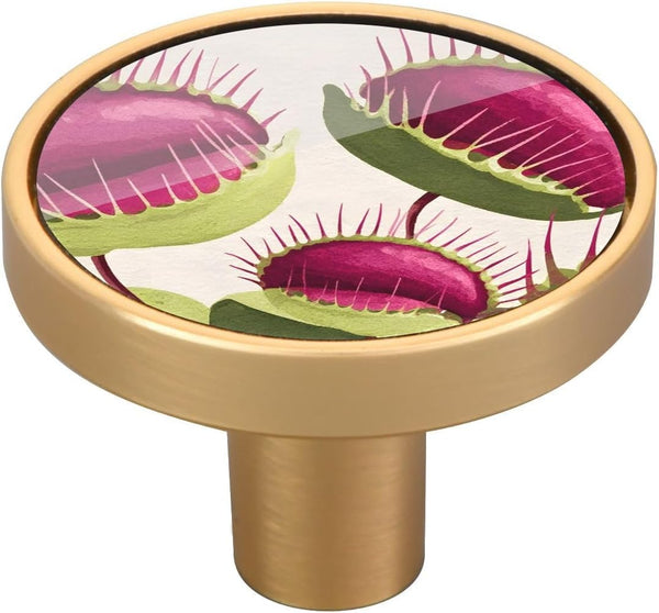 PDZRMY 4 Pack Venus Flytrap Art Cabinet Knobs, Stylish Design Pulls Handle for