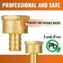 SUNGATOR 6-Pack 1/2" PEX to 1/2" Female NPT Brass Fittings, UPC Certified