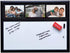 Ultimate Office Magnetic Whiteboard 24 x 18 Memo Board PLUS, 3 Photo Frames, Marker & Magnetic Eraser