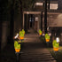 chislim B-2 Pack) Solar Lights Outdoor Decorative,Creative Cactus Pineapple Stake Waterproof Landscape Lights,Landscape
