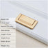 FASMM 2Pcs/Lot Natural(8201-64mm YEJIANGHUA Zinc Alloy Black Silver Gold No-Punch Hidden Handle Tatami Open-Mounted
