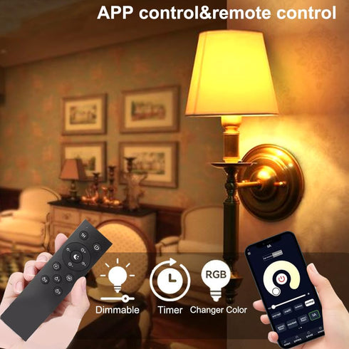 E26 12W Bulb 2.4GHz Bulb,Stepless Dimmable 3000-6500K,100W Equivalent,A19 1000Lumens,CRI>80,Home Decor,1 Bulb GRV Smart