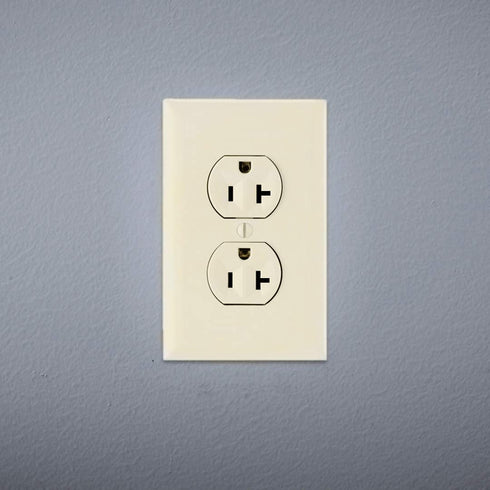 Pass & Seymour CR20LACC12 20 Commercial (1 Count) Legrand Amp Specification Grade Duplex Receptacle Outlet, Side Wire