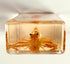 4.3" Large Real Shrimp Oriental Freshwater River Prawn in Crystal Clear Lucite Resin Specimen Preserved Macrobrachium